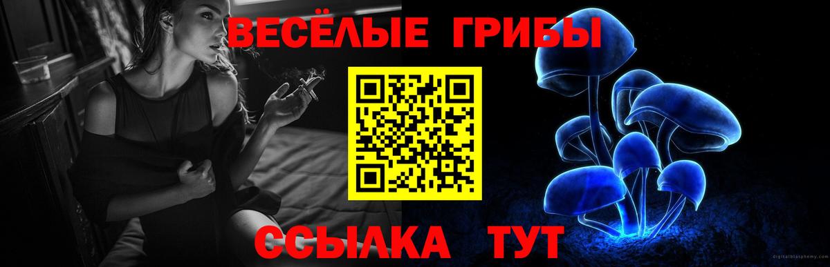 Галлюциногенные грибы Psilocybine cubensis Курган